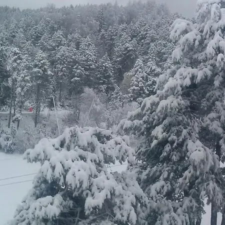 Pieds Des Pistes